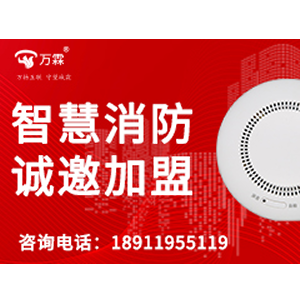 Why Global Fire Safety Buyers Source professional smoke tester B2B from Wanlin: Export Case Study In